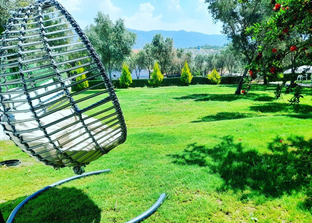 Hotel Infinity Ruby 4*